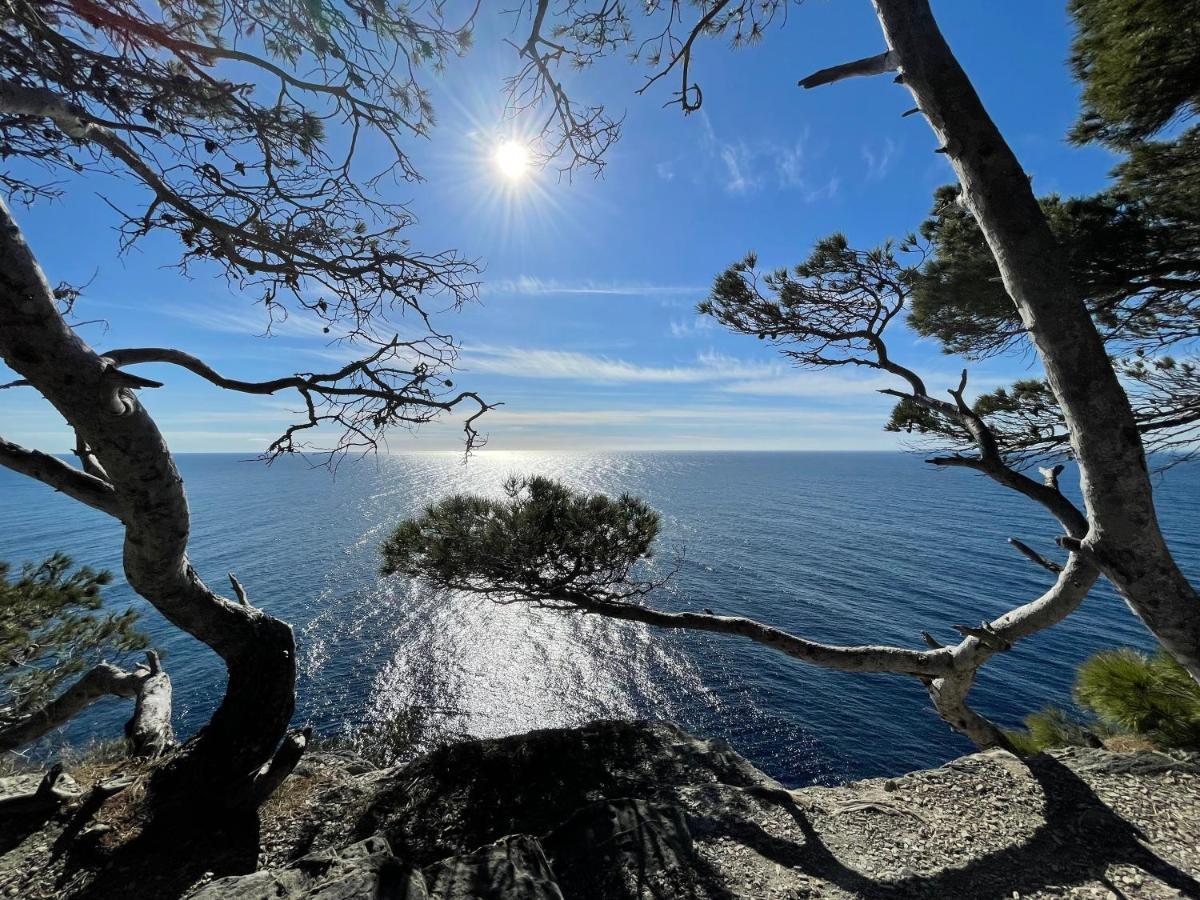 Appartement moderne en résidence privée face à la mer Hyères Exterior foto
